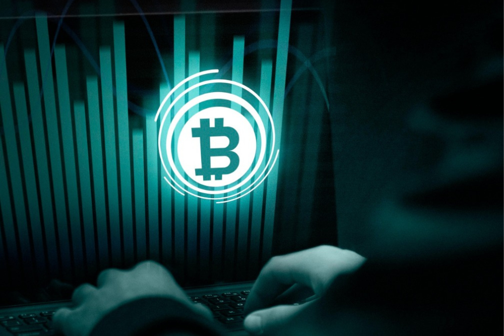 Evolving Crypto Ecosystem
